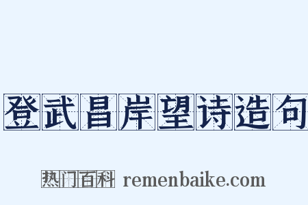 登武昌岸望诗造句是什么意思的图片